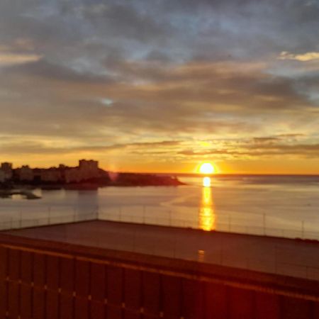 A 50 Metros Del Mar Y En 2 Paradas De Bus Estas En El Centro De Alicante Exterior foto
